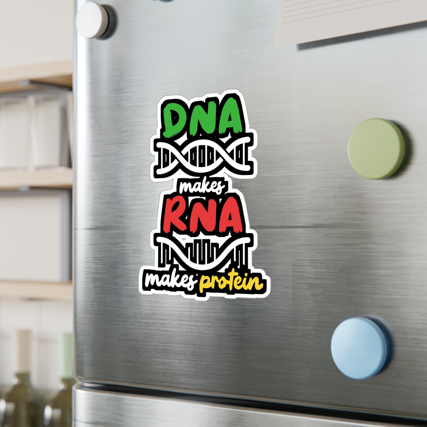 DNA Makes RNA Makes Protein - Biology Sticker for Laptop Sticker. Water Bottle Sticker, Vinyl Physicist Decal - Biology Gift