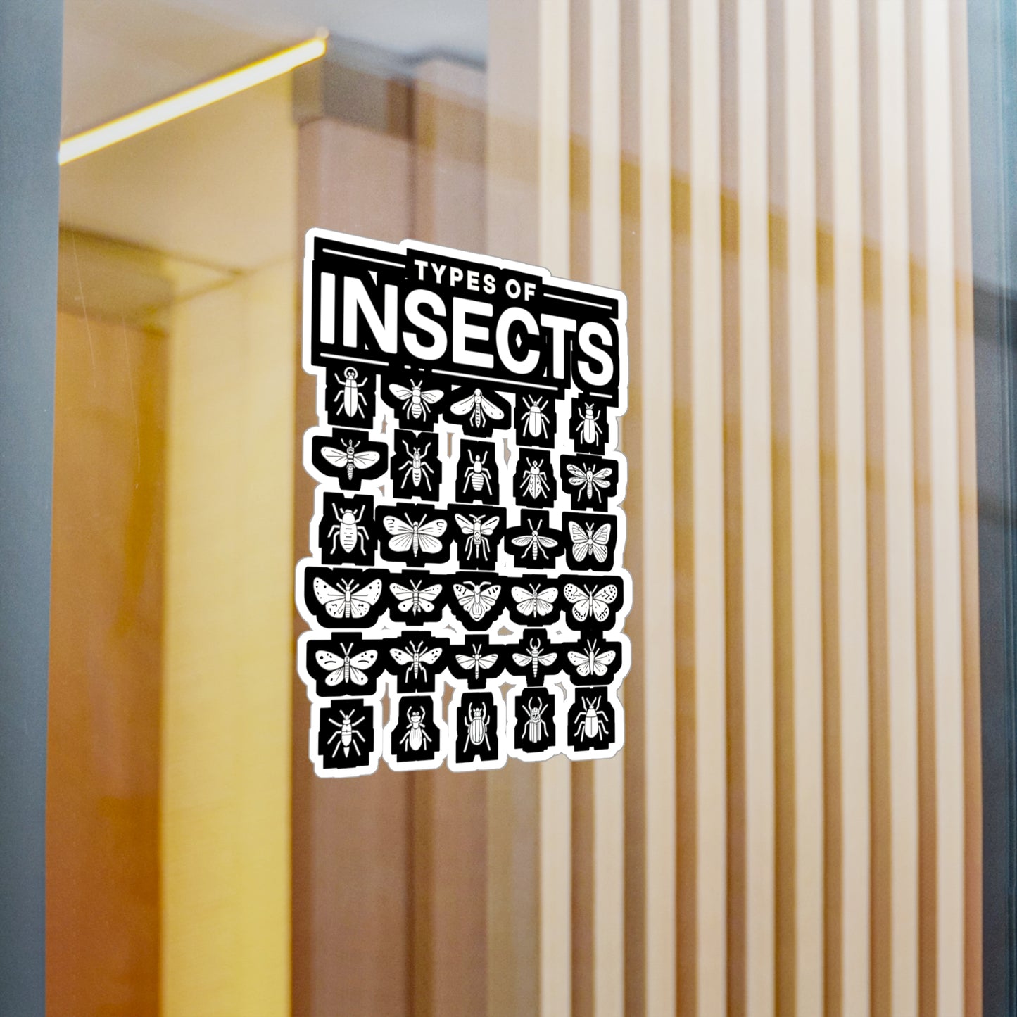 Types Of Insects - Entomology Sticker for Laptop Sticker. Water Bottle Sticker, Vinyl Pin Decal - Entomology Gift