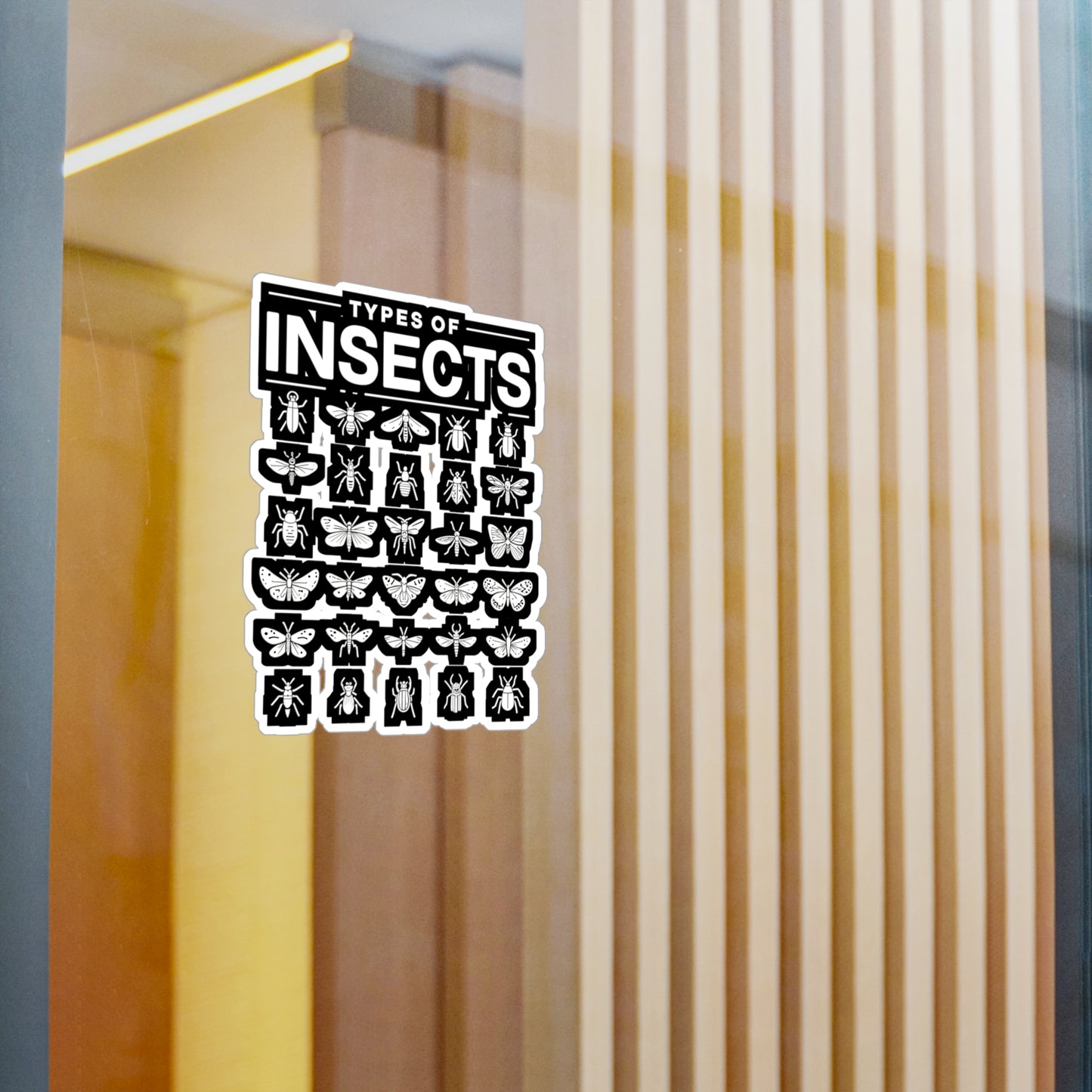 Types Of Insects - Entomology Sticker for Laptop Sticker. Water Bottle Sticker, Vinyl Pin Decal - Entomology Gift