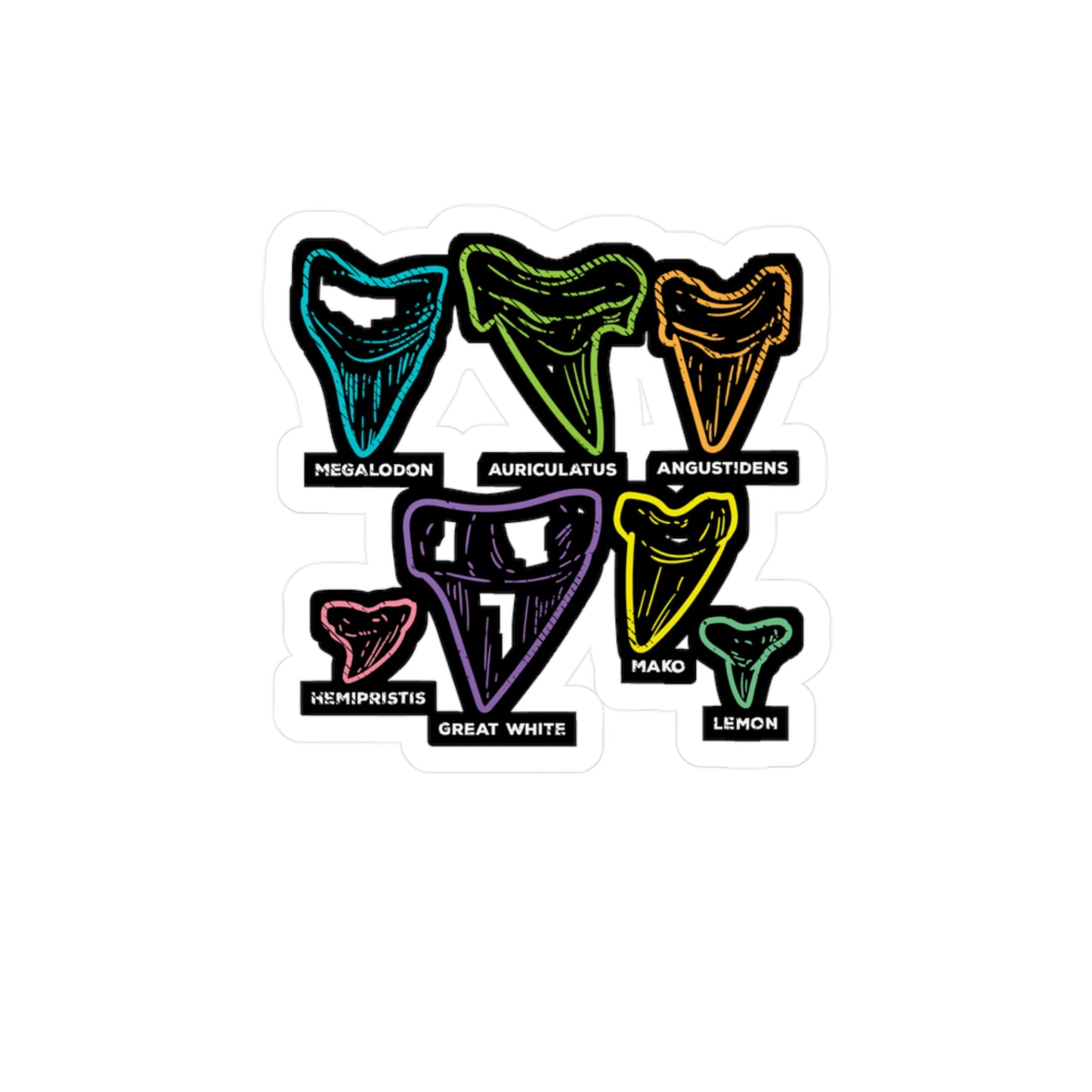 Shark Tooth types Fossil Hunting - Fossil Sticker for Laptop Sticker. Water Bottle Sticker, Vinyl Shark-teeth Decal - Fossil Gift