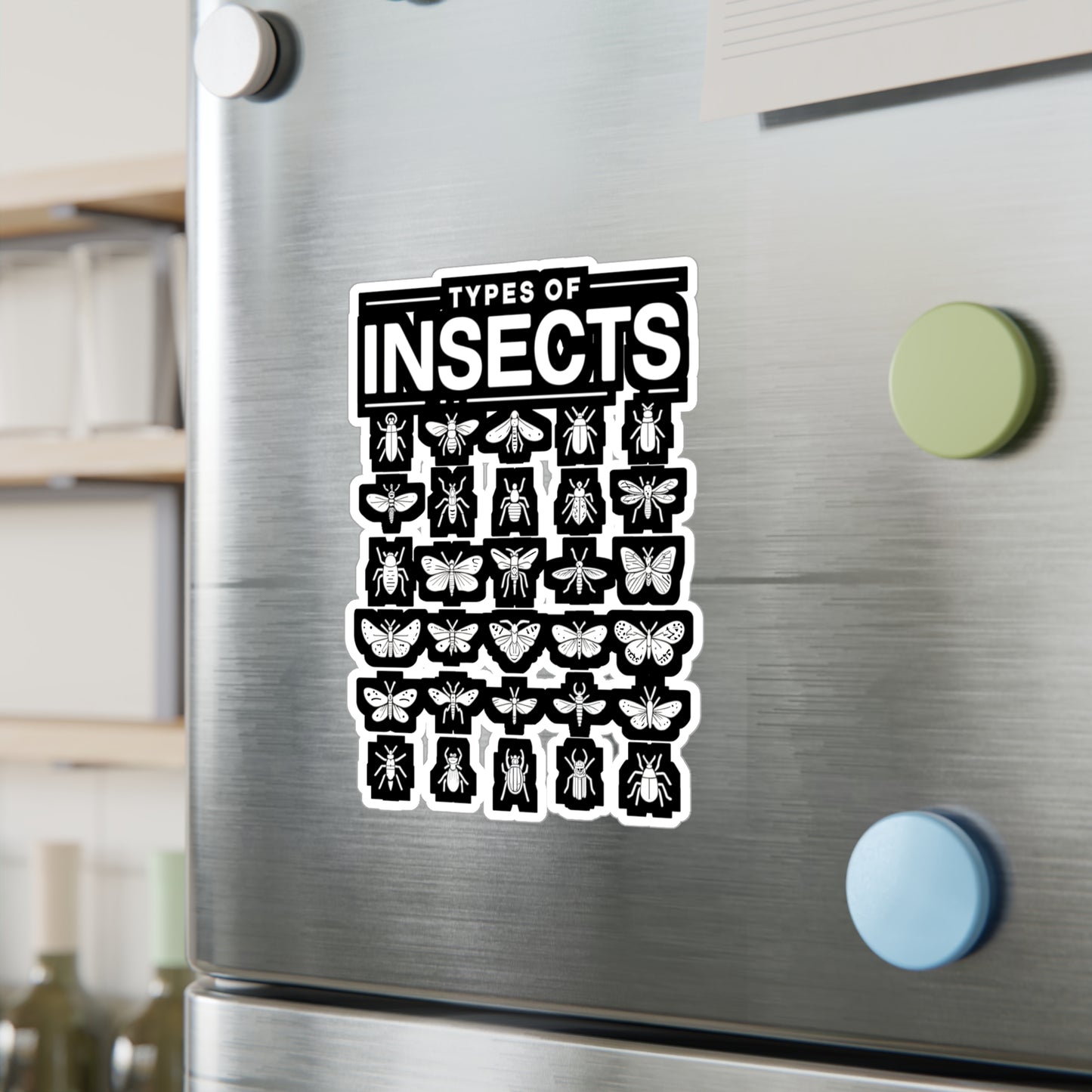 Types Of Insects - Entomology Sticker for Laptop Sticker. Water Bottle Sticker, Vinyl Pin Decal - Entomology Gift