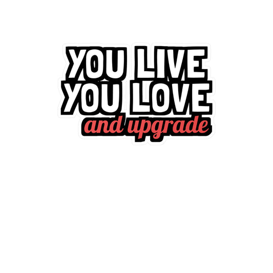 You Live You Learn and You Upgrade | Divorce Sticker | Separation Decals | Alimony Laptop Sticker | Divorce Gift