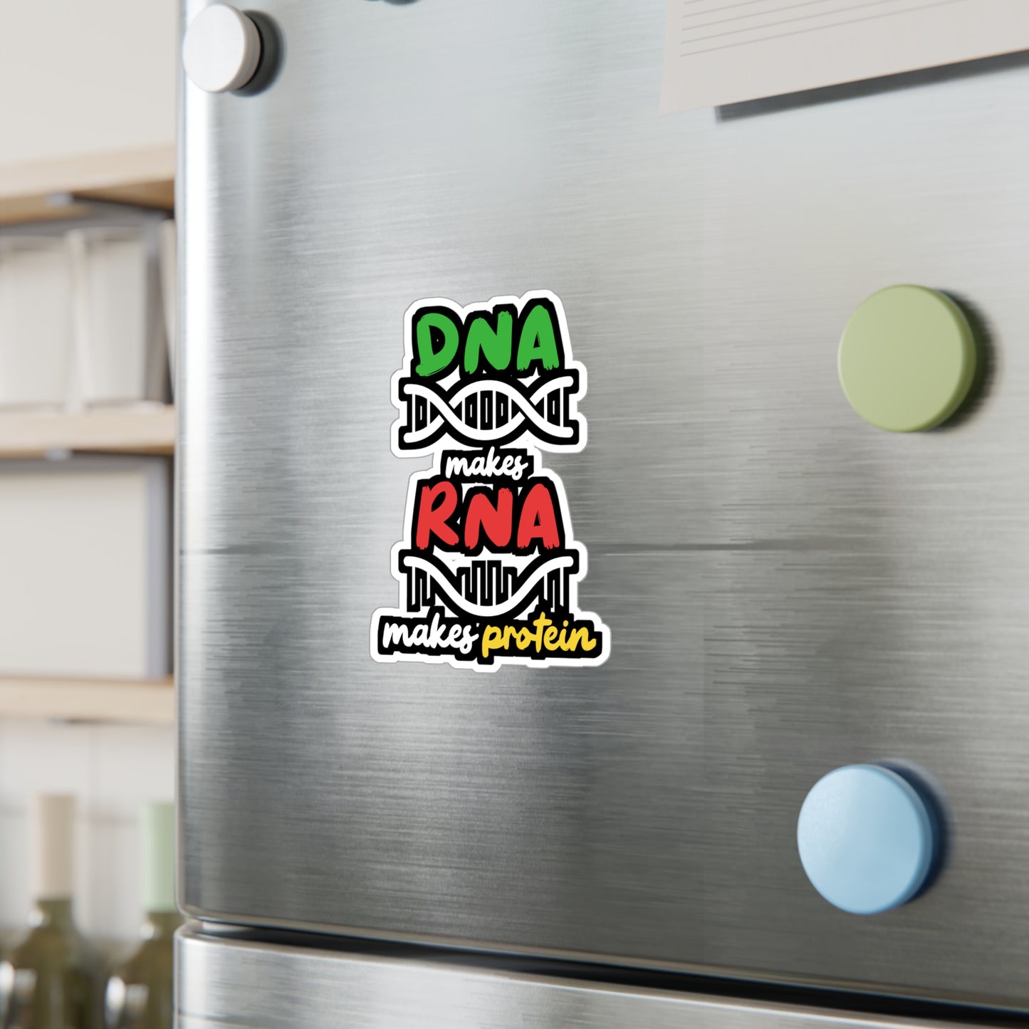 DNA Makes RNA Makes Protein - Biology Sticker for Laptop Sticker. Water Bottle Sticker, Vinyl Physicist Decal - Biology Gift