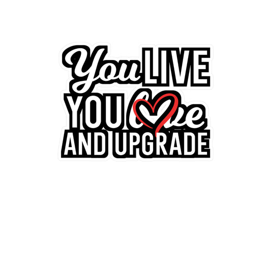 You Live You Learn and You Upgrade | Divorce Sticker | Separation Decals | Alimony Laptop Sticker | Divorce Gift | Separation Gift