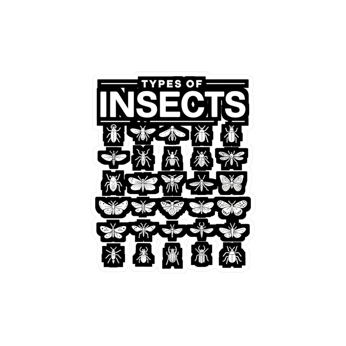 Types Of Insects - Entomology Sticker for Laptop Sticker. Water Bottle Sticker, Vinyl Pin Decal - Entomology Gift