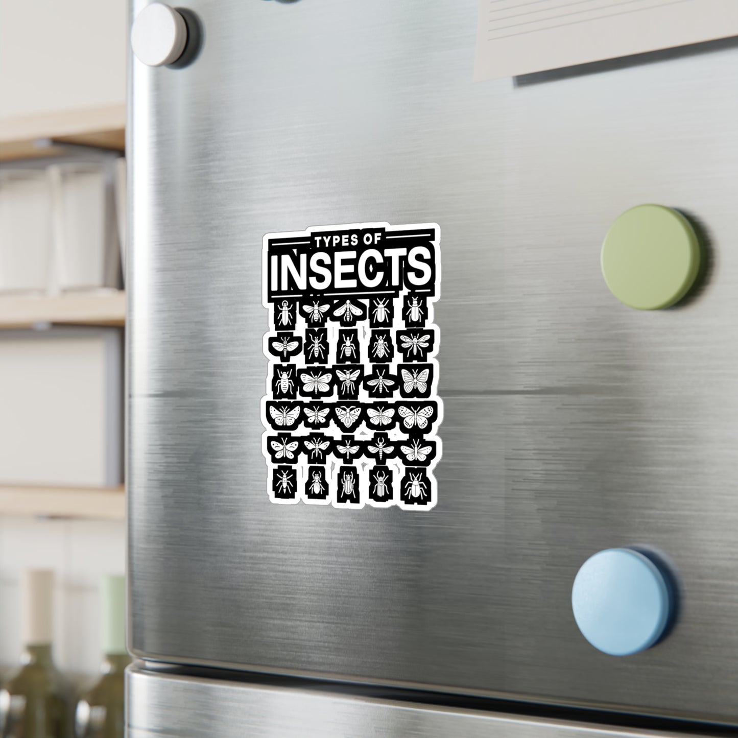Types Of Insects - Entomology Sticker for Laptop Sticker. Water Bottle Sticker, Vinyl Pin Decal - Entomology Gift