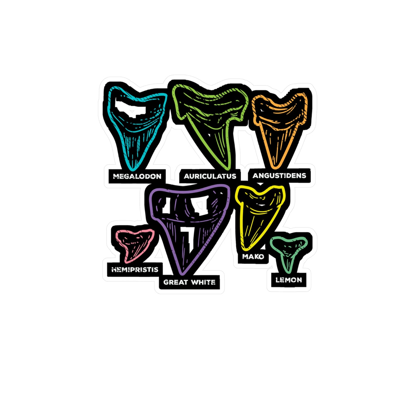 Shark Tooth types Fossil Hunting - Fossil Sticker for Laptop Sticker. Water Bottle Sticker, Vinyl Shark-teeth Decal - Fossil Gift