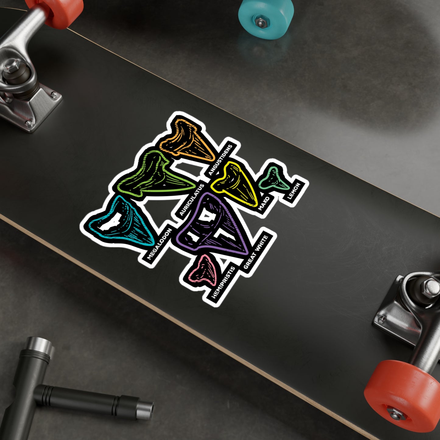 Shark Tooth types Fossil Hunting - Fossil Sticker for Laptop Sticker. Water Bottle Sticker, Vinyl Shark-teeth Decal - Fossil Gift