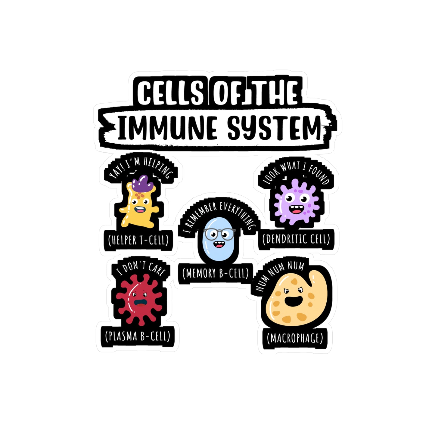 Cells Of The Immune System - Biology Sticker for Laptop Sticker. Water Bottle Sticker, Vinyl Physicist Decal - Biology Gift