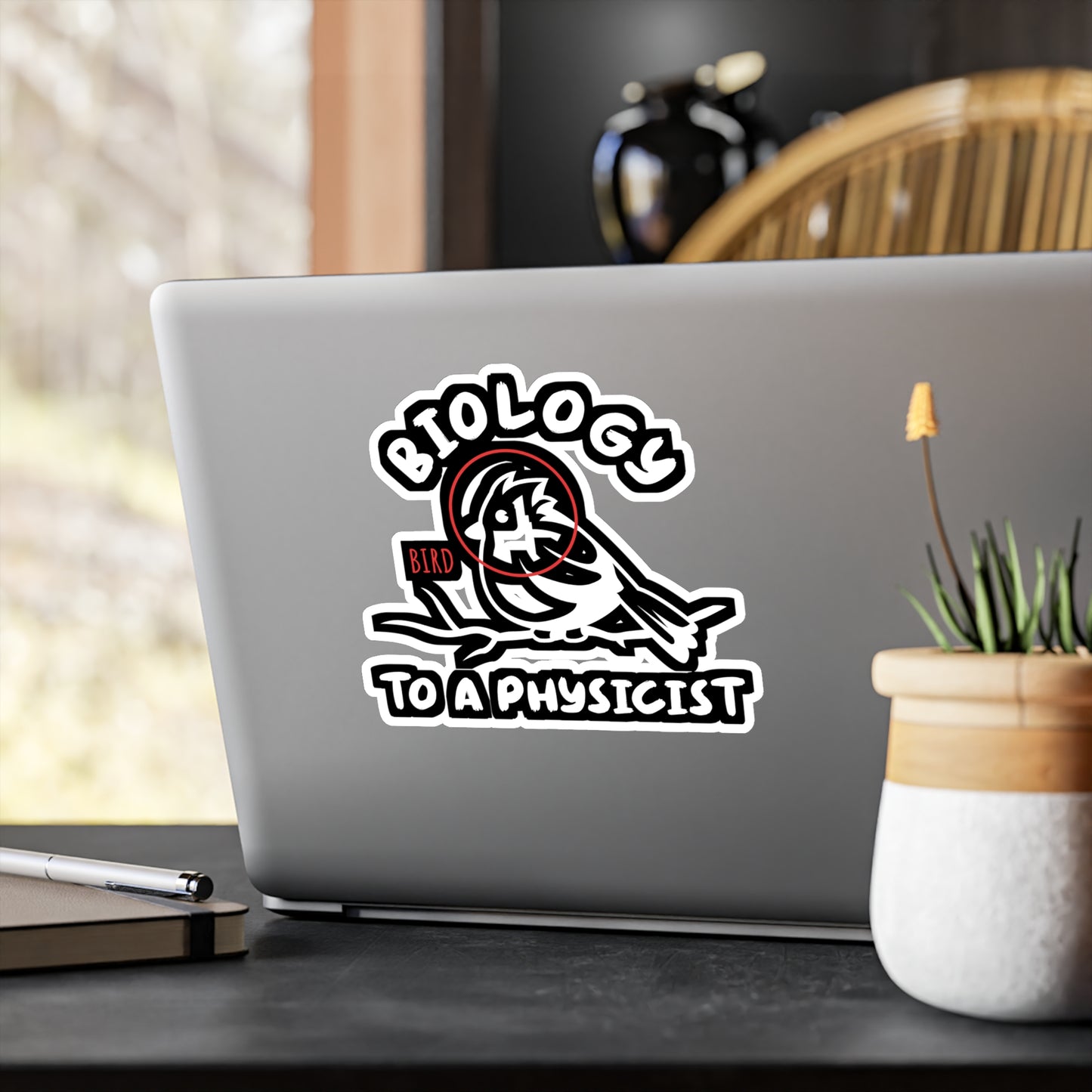 Biology To A Physicist - Biology Sticker for Laptop Sticker. Water Bottle Sticker, Vinyl Physicist Decal - Biology Gift