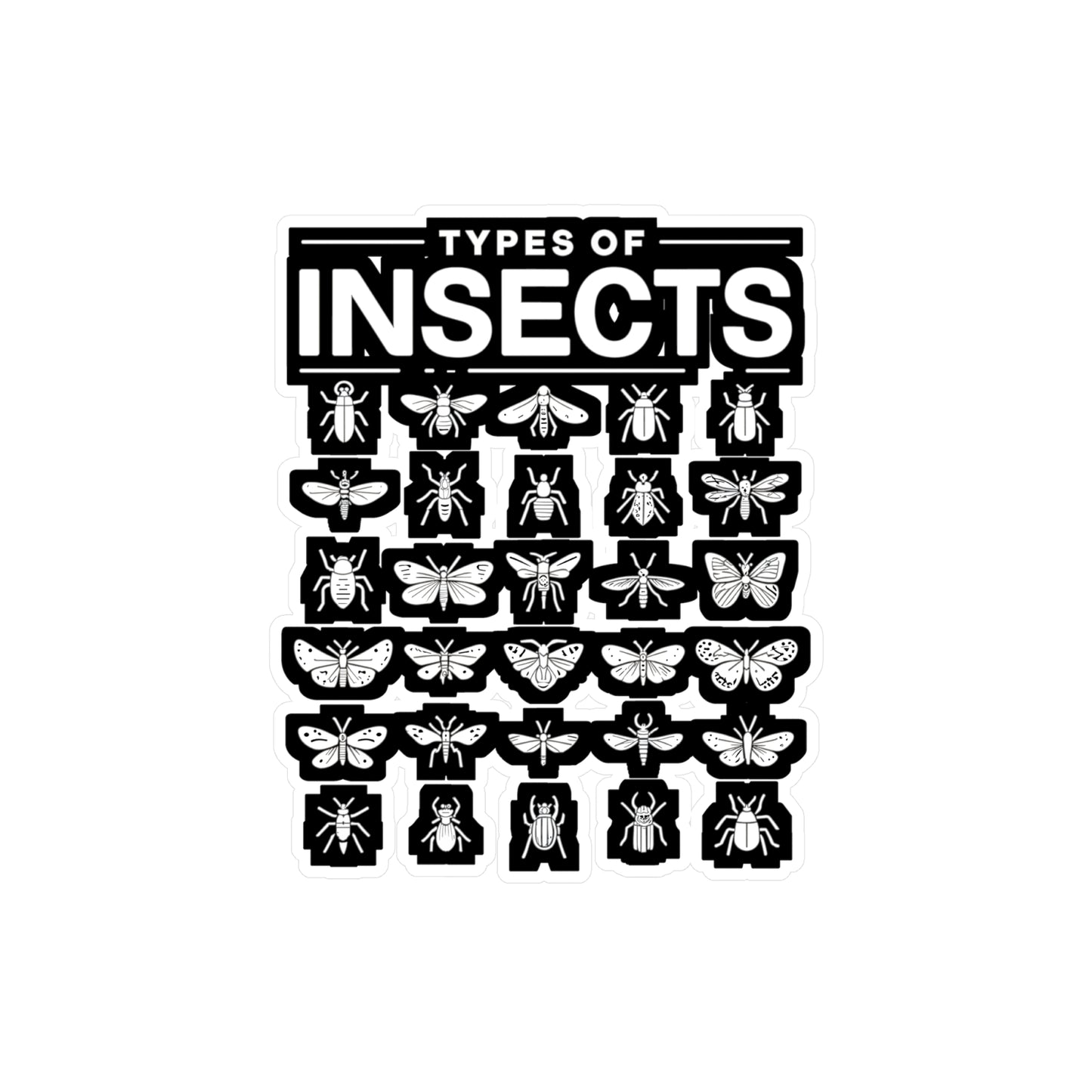 Types Of Insects - Entomology Sticker for Laptop Sticker. Water Bottle Sticker, Vinyl Pin Decal - Entomology Gift