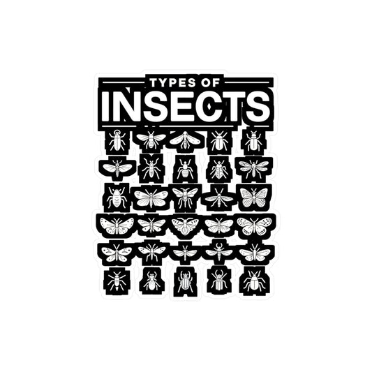 Types Of Insects - Entomology Sticker for Laptop Sticker. Water Bottle Sticker, Vinyl Pin Decal - Entomology Gift