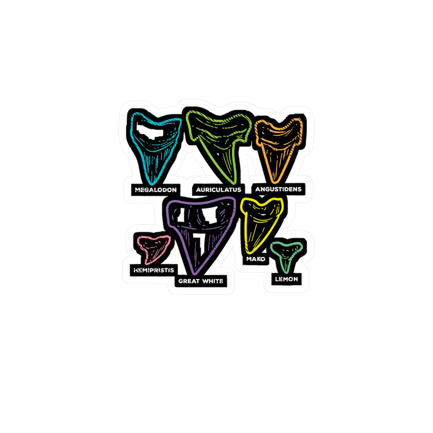 Shark Tooth types Fossil Hunting - Fossil Sticker for Laptop Sticker. Water Bottle Sticker, Vinyl Shark-teeth Decal - Fossil Gift