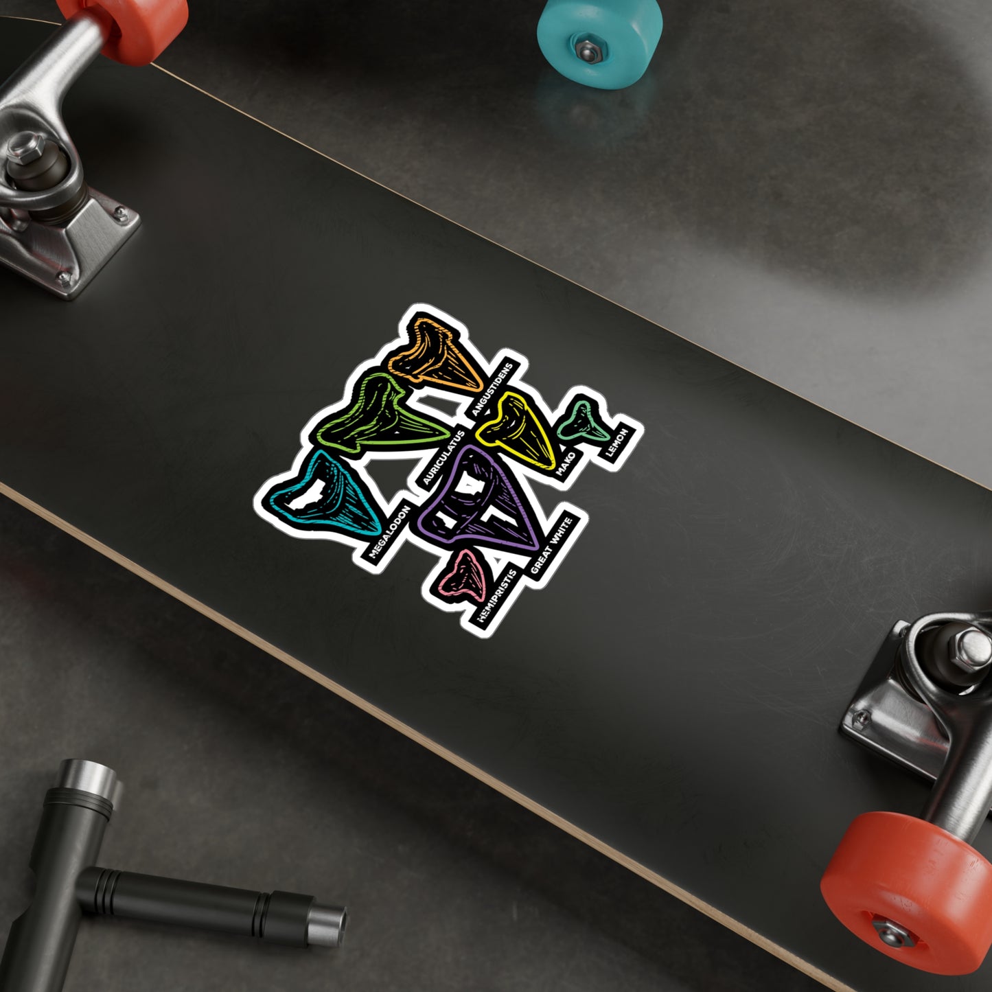 Shark Tooth types Fossil Hunting - Fossil Sticker for Laptop Sticker. Water Bottle Sticker, Vinyl Shark-teeth Decal - Fossil Gift