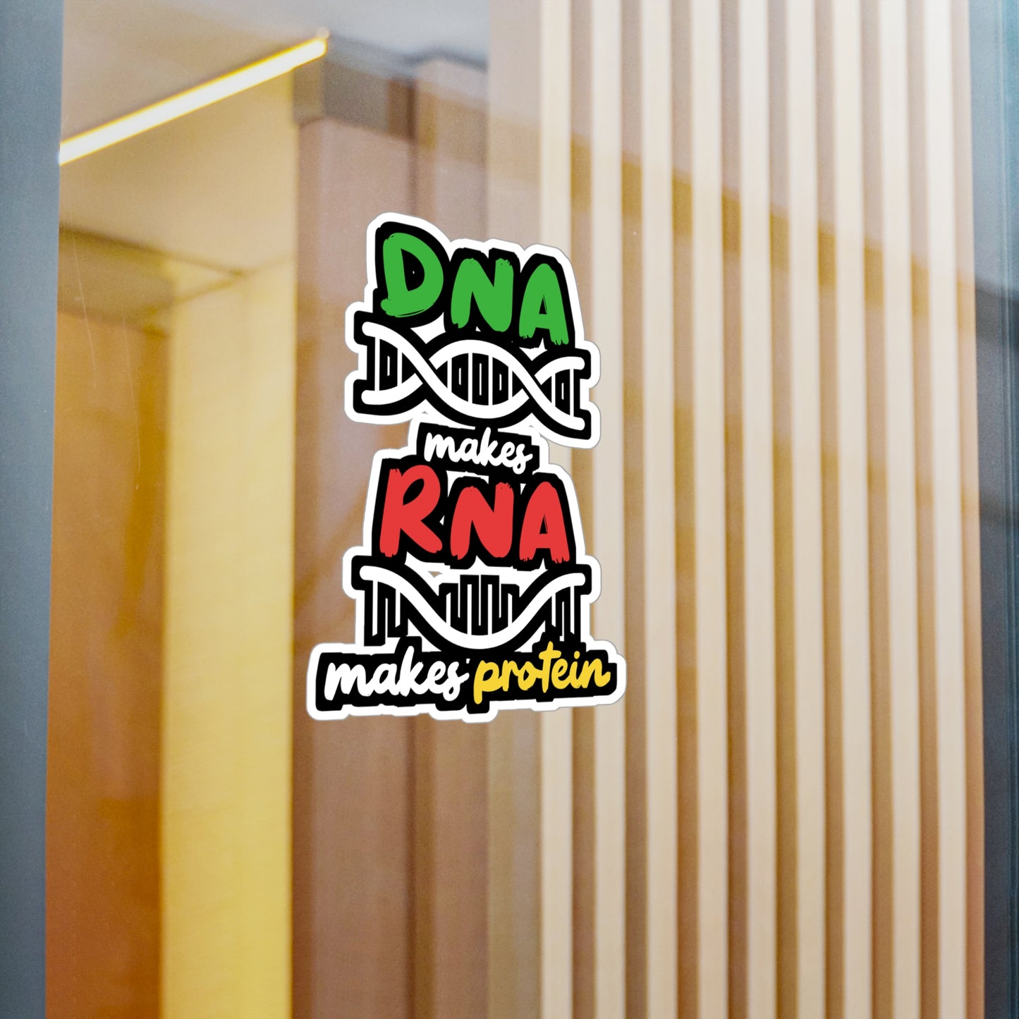 DNA Makes RNA Makes Protein - Biology Sticker for Laptop Sticker. Water Bottle Sticker, Vinyl Physicist Decal - Biology Gift