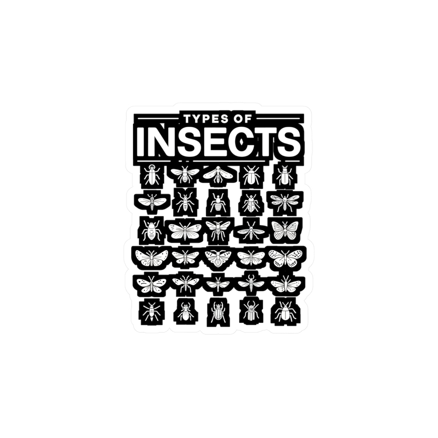 Types Of Insects - Entomology Sticker for Laptop Sticker. Water Bottle Sticker, Vinyl Pin Decal - Entomology Gift