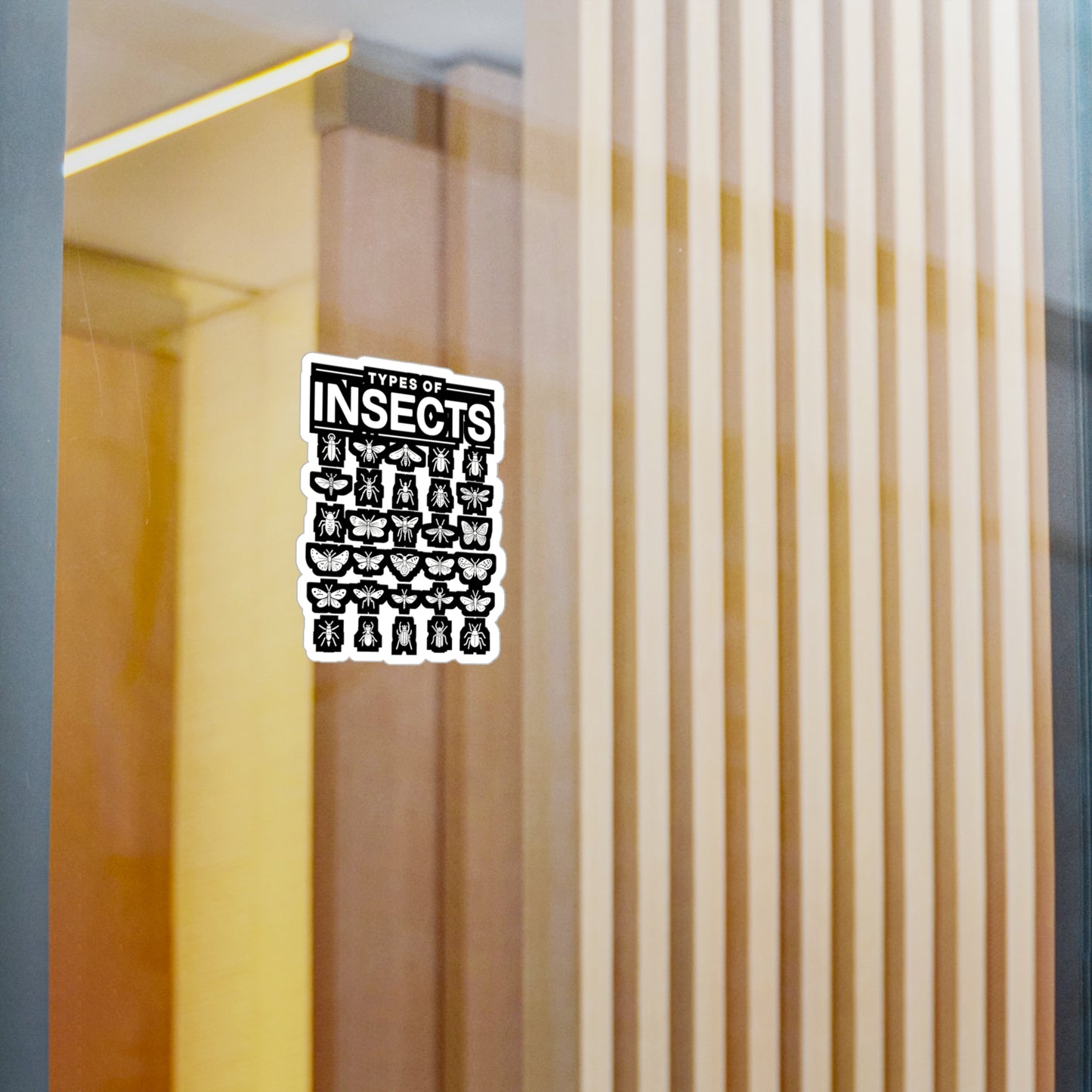 Types Of Insects - Entomology Sticker for Laptop Sticker. Water Bottle Sticker, Vinyl Pin Decal - Entomology Gift