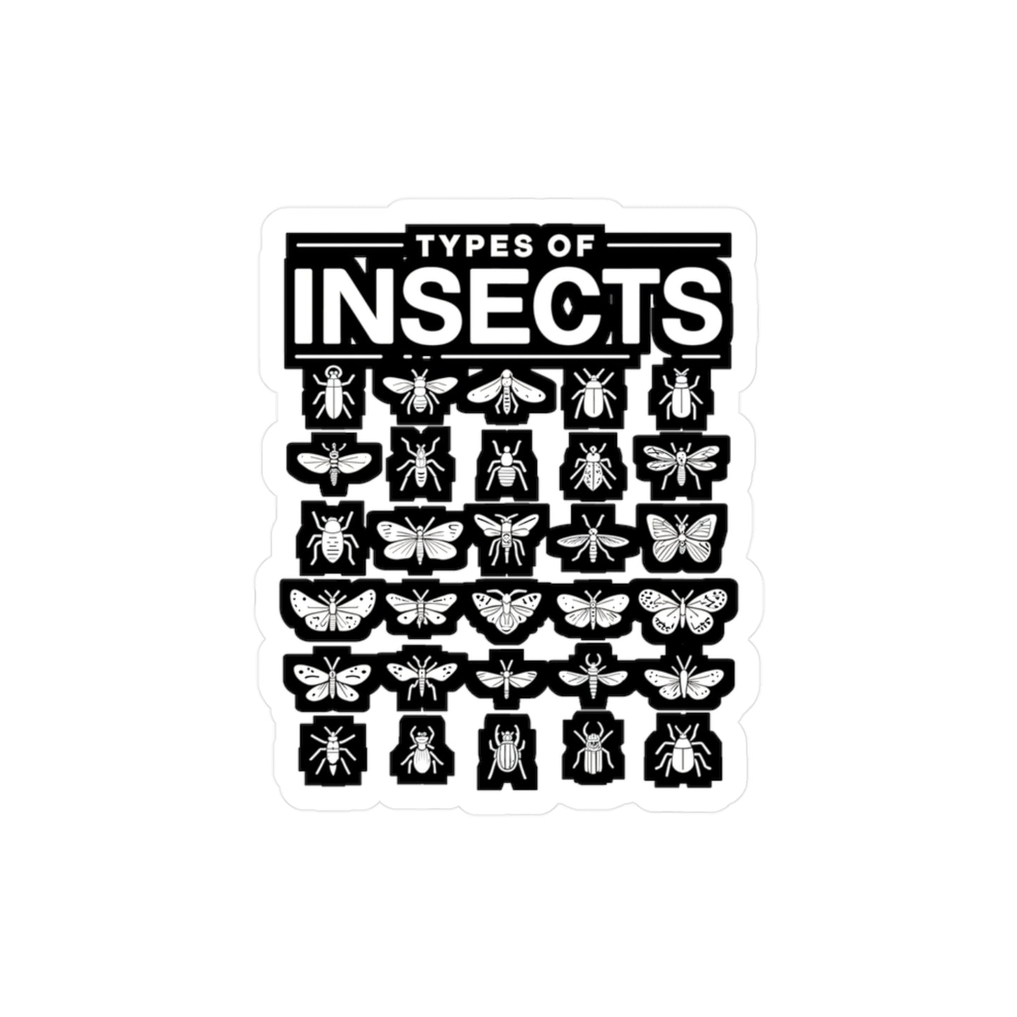 Types Of Insects - Entomology Sticker for Laptop Sticker. Water Bottle Sticker, Vinyl Pin Decal - Entomology Gift