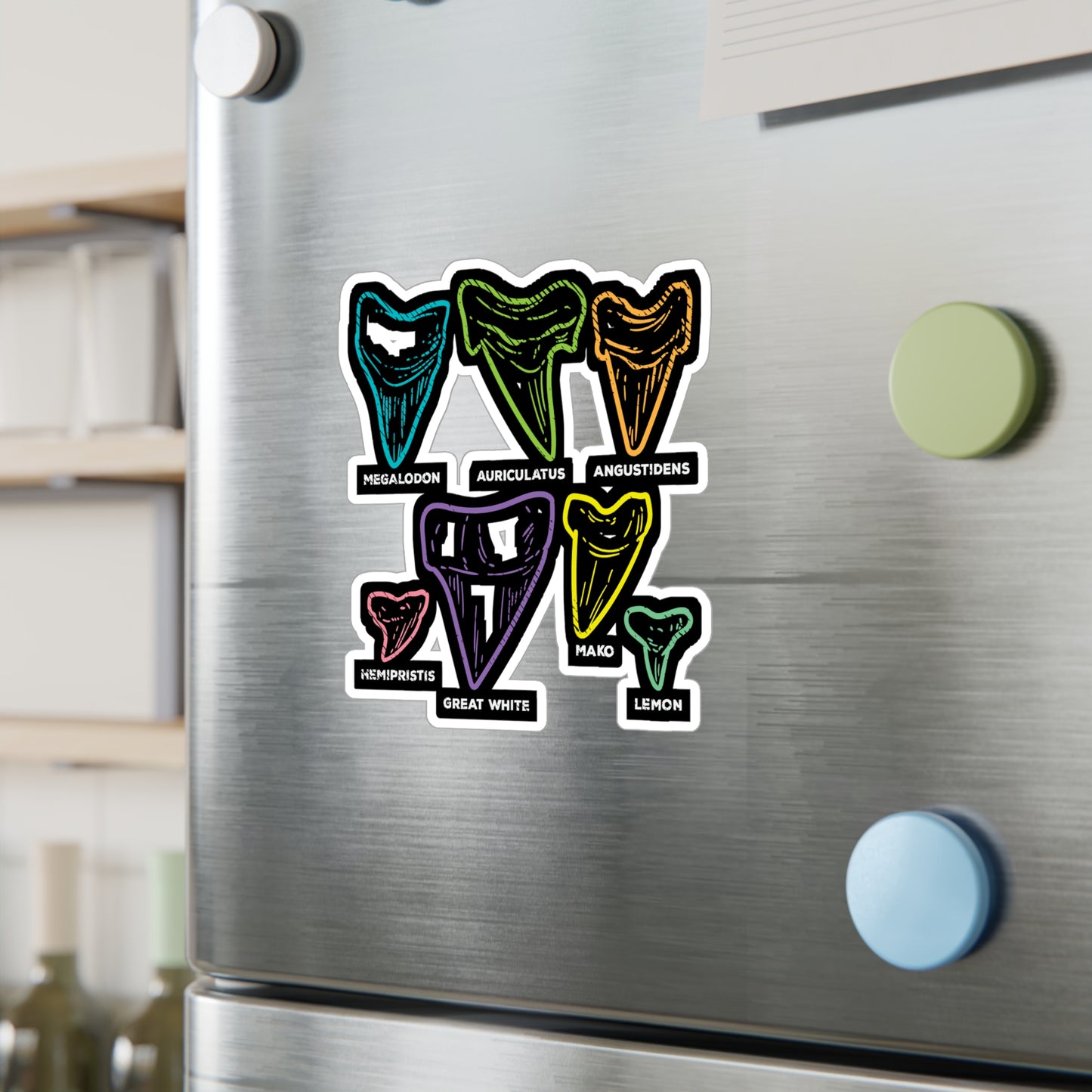 Shark Tooth types Fossil Hunting - Fossil Sticker for Laptop Sticker. Water Bottle Sticker, Vinyl Shark-teeth Decal - Fossil Gift